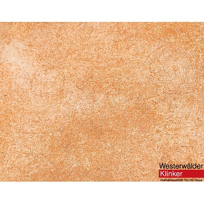 Клинкерная плитка WesterWalder Серия "MONTMARTRE" WKS31220 Zimtbraun 310х310х9,5 - купить в СовтСтрой